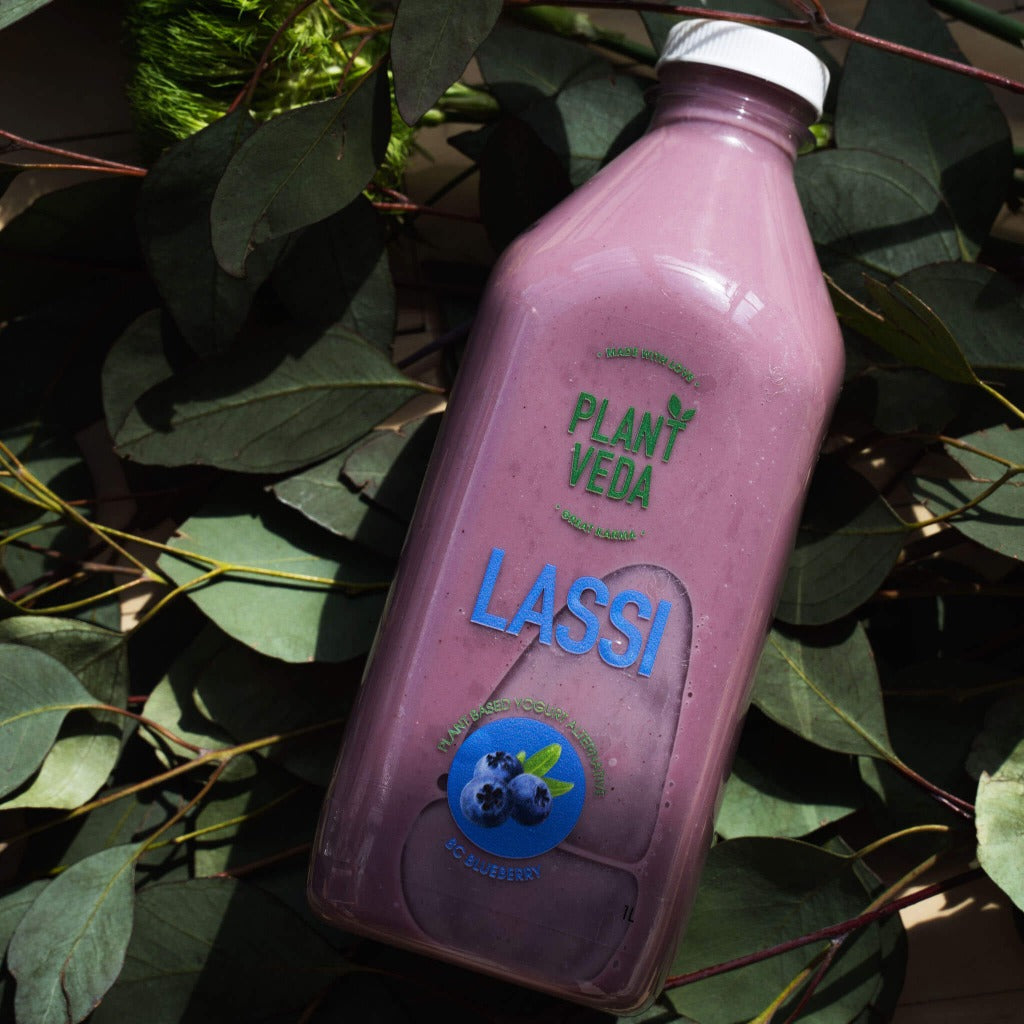 Drinkable Yogurt - Blueberry Probiotic Lassi | Plant Veda