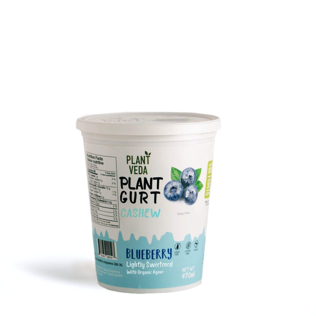 PlantGurt Probiotic Cashew Yogurt BC Blueberry | Plant Veda
